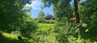 Queen bee's nest - 7
