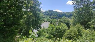 Queen bee's nest - 3