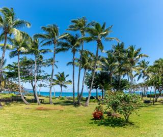 Villa Flamboyan - Las Galeras - 9