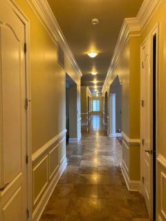 Luxury Mansion near WashingtonDC BnB - - 4