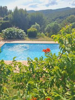 Villa Romarin - La Cadiere d'Azur - 6