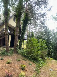 Domek Sosnowe Wzgórze Wiktorowo - 2