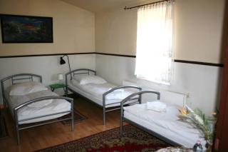 Hotel Komfort Inn - Dwór Hubertus - 6