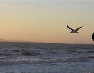 Aconchegante - Cabo Frio - 0