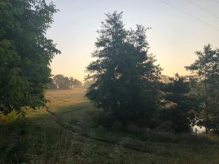 La Durandière - 3