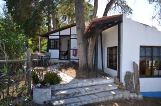 Quinta de São Pedro - Sobreda - 8