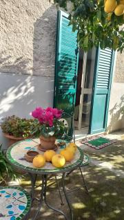 Lemon Garden Apartament - Palermo - 4