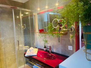 Rose House - Lugano - Lugano - 3