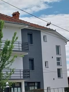 Ambient Apartments - Struga - 3