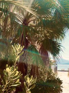 Obala - Herceg Novi - 3