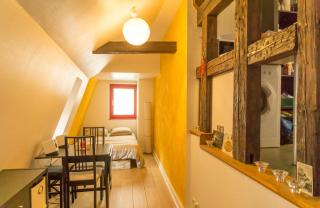 Charming Attic Duplex in the Heart of Strasbourg - Strasburgo - 0