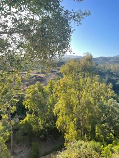 Apartamento en Elviria, Marbella - Marbella - 6