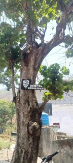 BlaBla House Rishikesh - 9