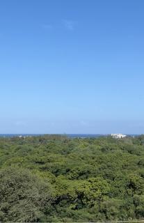 Haller Park Apartments Pacific Bamburi - Mombasa - 6