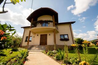 Casa Royal - Mintia - 7