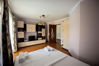 Casa Royal - Mintia - 8