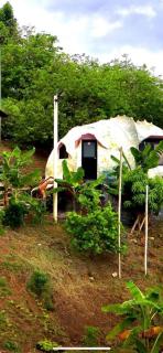 GLAMPING CARACOL-MUSEO DE MARAVILLAS DE LA VIDA MARINA, Basado en la vida del Mar - 2