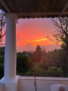 VILLA CAVA by Capri Property - Anacapri - 8