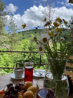 Kompozitor Hotel Dilijan - Dilijan - 8