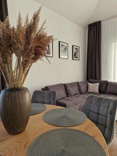 Amber Sea Apartment - 2 - Palanga - 4