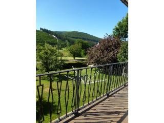 Miss Comfortable Holiday Residence - Bad Berleburg - 9