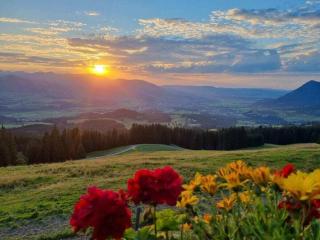 Main Comfortable holiday residence - Bihlerdorf - 1