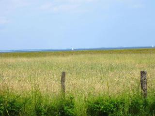 House Saga - Huus Asgard - 3