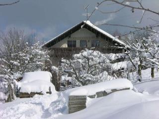 Haus Eichin Comfortable holiday residence - Kandern - 9