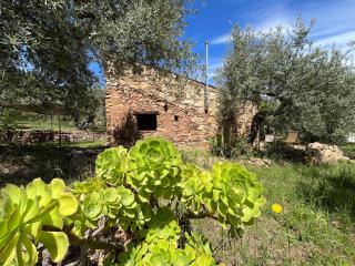 Ferla Cottage - Santuario di Gibilmanna - 9