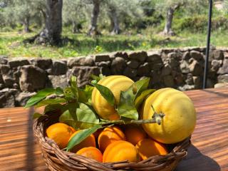 Ferla Cottage - Santuario di Gibilmanna - 5