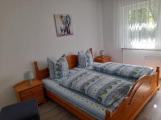 Fantastic holiday apartment near Willingen - Bruchhausen - 2