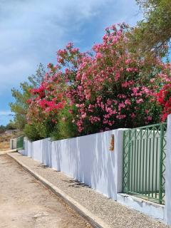 Villa Tsonima - Agia Marina Mikrolimanou - 4
