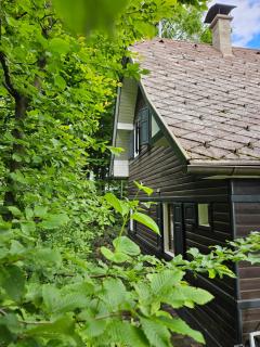 Onkel Willis Hütte - 5