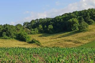 Maison de campagne avec accès à une piscine partagée - Linge non fourni - 1
