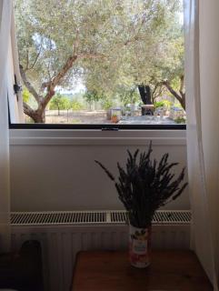 Krini and Aroma apartments - garden & private parking - Mousata - 3