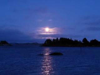 Kassholmen, Bakkasund - Austevoll - 8