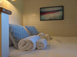 Hut in the Forest - Brockenhurst - 4