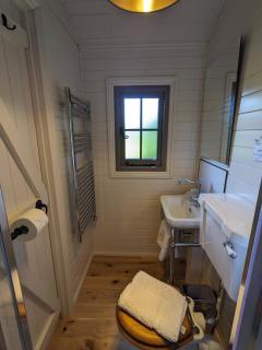 Hut in the Forest - Brockenhurst - 1