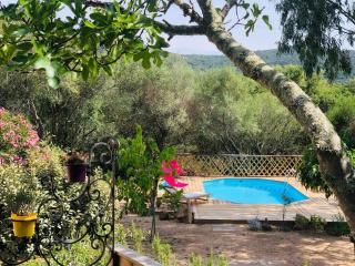 Magnifique villa avec piscine - Porto-Vecchio - 9