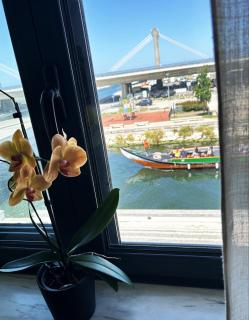 Flamingo Apartment - Aveiro - 0