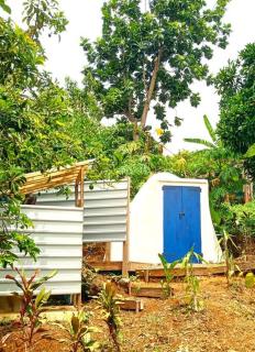 Seaview Eco Lodge - Atkinson - 4