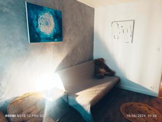 Magnifique appartement quartier la Roseraie - Toulouse - 8