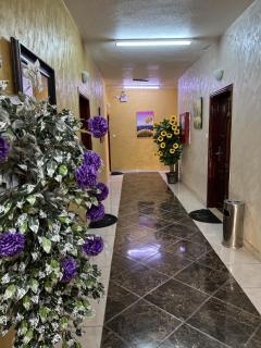 العاصم للشقق الفندقية ALASEM HOTEL APARTMENTS - Aqaba - 6