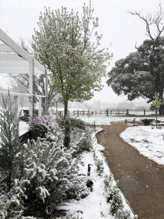 Luxury Accomodation, Farm Stay, Stunning views near Daylesford - Springmount - 9