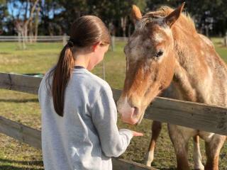 Luxury Accomodation, Farm Stay, Stunning views near Daylesford - Springmount - 6