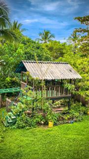 Garden Rooms - Bocas del Toro - 3