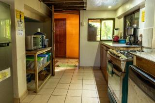 Garden Rooms - Bocas del Toro - 6