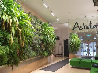 Astelia Apartment Hotel - Wellington - 9