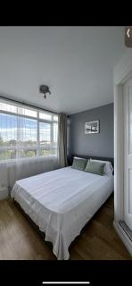 Leafy sanctuary in Putney - Londra - 8
