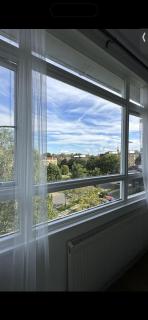 Leafy sanctuary in Putney - Londra - 9